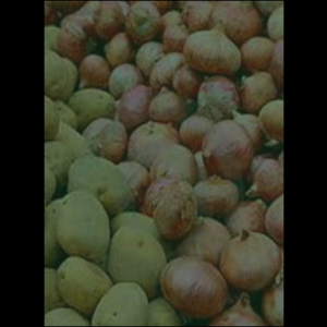 onionpotato_original_copy_1_copy_1_copy_1