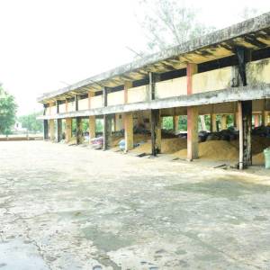 9d18861c-b2b8-42a6-875f-3eba3e2fb4f5_original